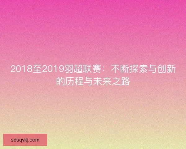 2018至2019羽超联赛：不断探索与创新的历程与未来之路